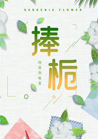 捧栀小说具体内容